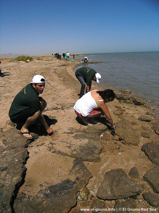 Green Gouna Day Beach 133